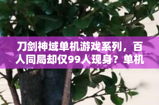 刀剑神域单机游戏系列，百人同局却仅99人现身？单机世界谜团重重，真相破防全网！