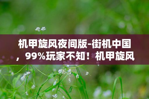 机甲旋风夜间版-街机中国,99%玩家不知!机甲旋风夜间版竟藏着这等惊天反转?! 机甲旋风夜间版-街机中国,99%玩家不知!机甲旋风夜间版竟藏着这等惊天反转?!