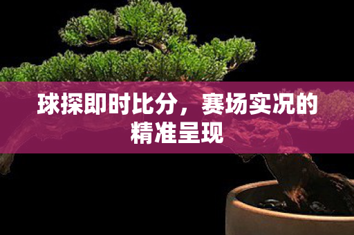 赛场实况的精准呈现图片