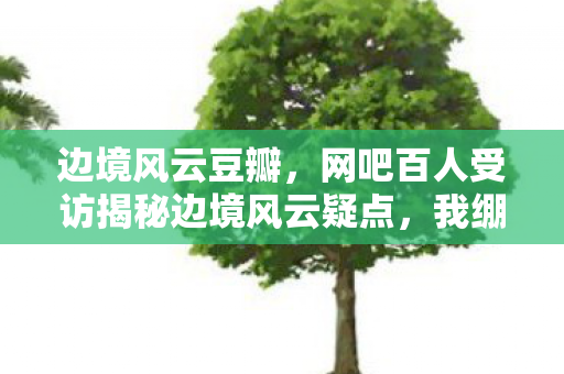 边境风云豆瓣，网吧百人受访揭秘边境风云疑点，我绷不住泪洒当场