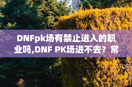 DNFpk场有禁止进入的职业吗,DNF PK场进不去?常见问题排查和解决方法全指南 DNFpk场有禁止进入的职业吗,DNF PK场进不去?常见问题排查和解决方法全指南