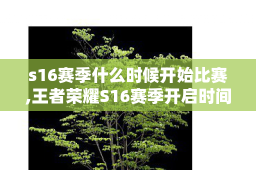 s16赛季什么时候开始比赛,王者荣耀S16赛季开启时间回顾与同期版本亮点全梳理 s16赛季什么时候开始比赛,王者荣耀S16赛季开启时间回顾与同期版本亮点全梳理
