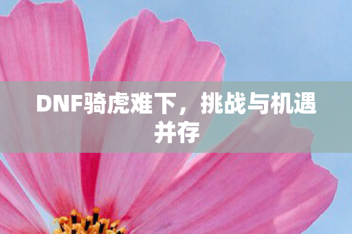 DNF骑虎难下图片