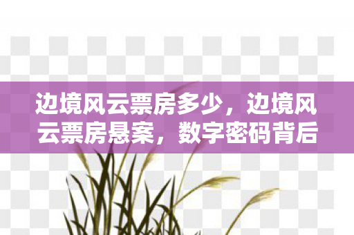边境风云票房多少,边境风云票房悬案,数字密码背后的毛骨悚然失踪线索 边境风云票房多少,边境风云票房悬案,数字密码背后的毛骨悚然失踪线索