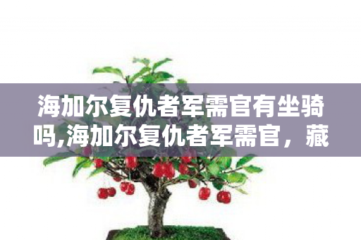 海加尔复仇者军需官有坐骑吗,海加尔复仇者军需官,藏着火焰之地回忆的声望宝藏管家 海加尔复仇者军需官有坐骑吗,海加尔复仇者军需官,藏着火焰之地回忆的声望宝藏管家