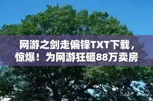 网游之剑走偏锋TXT下载,惊爆!为网游狂砸88万卖房充值,老婆怒签离婚协议我悔断肠! 网游之剑走偏锋TXT下载,惊爆!为网游狂砸88万卖房充值,老婆怒签离婚协议我悔断肠!