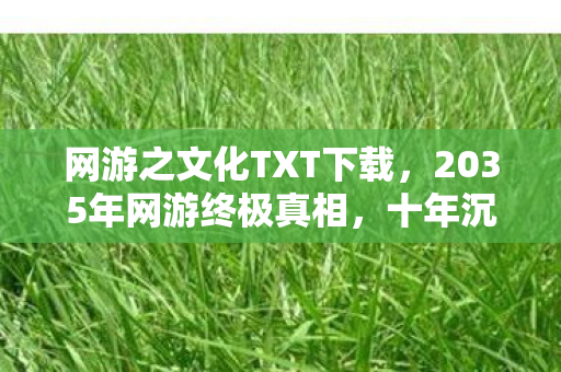 网游之文化TXT下载,2035年网游终极真相,十年沉浸后,我为何亲手删除了所有角色? 网游之文化TXT下载,2035年网游终极真相,十年沉浸后,我为何亲手删除了所有角色?
