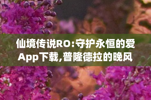 仙境传说RO:守护永恒的爱App下载,普隆德拉的晚风,吹过十年的冒险旧梦 仙境传说RO:守护永恒的爱App下载,普隆德拉的晚风,吹过十年的冒险旧梦