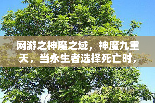 网游之神魔之域，神魔九重天，当永生者选择死亡时，键盘敲碎了轮回悖论