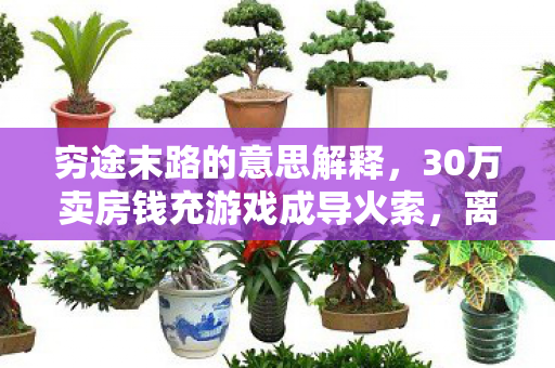 穷途末路的意思解释,30万卖房钱充游戏成导火索,离婚协议背后藏着惊人隐情! 穷途末路的意思解释,30万卖房钱充游戏成导火索,离婚协议背后藏着惊人隐情!