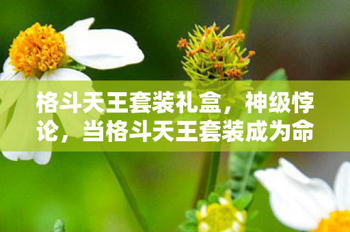 格斗天王套装礼盒,神级悖论,当格斗天王套装成为命运枷锁,自由意志在像素中震颤 格斗天王套装礼盒,神级悖论,当格斗天王套装成为命运枷锁,自由意志在像素中震颤