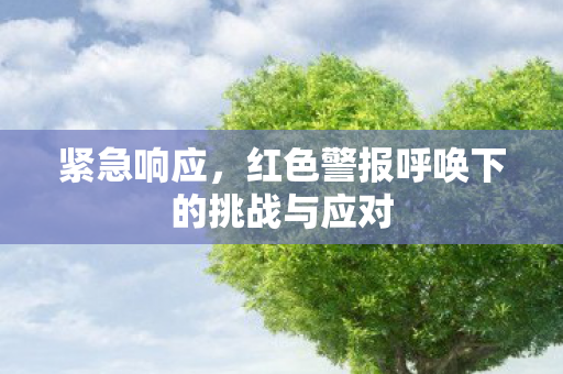 红色警报呼唤下的挑战与应对图片