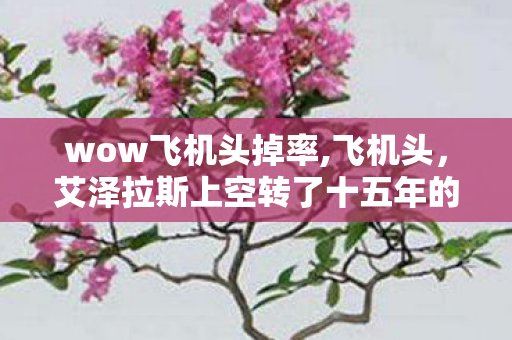 wow飞机头掉率,飞机头,艾泽拉斯上空转了十五年的青春螺旋桨 wow飞机头掉率,飞机头,艾泽拉斯上空转了十五年的青春螺旋桨