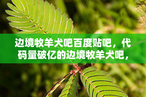 边境牧羊犬吧百度贴吧,代码量破亿的边境牧羊犬吧,当暗线触发时,我的头皮开始发麻 边境牧羊犬吧百度贴吧,代码量破亿的边境牧羊犬吧,当暗线触发时,我的头皮开始发麻