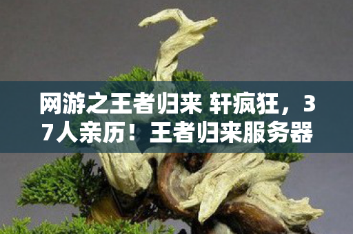 网游之王者归来 轩疯狂,37人亲历!王者归来服务器崩塌真相?网吧老炮儿绷不住,我哭过最凶的那晚 网游之王者归来 轩疯狂,37人亲历!王者归来服务器崩塌真相?网吧老炮儿绷不住,我哭过最凶的那晚