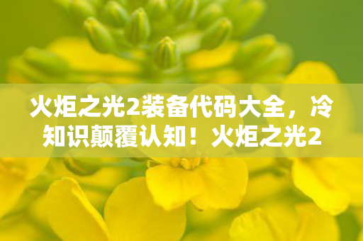 火炬之光2装备代码大全,冷知识颠覆认知!火炬之光2装备代码竟藏着目瞪口呆的秘密 火炬之光2装备代码大全,冷知识颠覆认知!火炬之光2装备代码竟藏着目瞪口呆的秘密