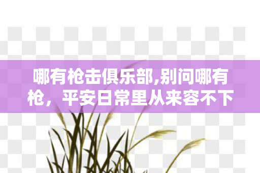 哪有枪击俱乐部,别问哪有枪,平安日常里从来容不下多余的危险念想 哪有枪击俱乐部,别问哪有枪,平安日常里从来容不下多余的危险念想
