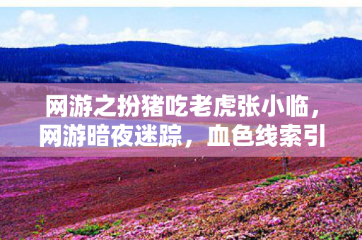 网游之扮猪吃老虎张小临,网游暗夜迷踪,血色线索引悬案,毛骨悚然真相藏于每次选择 网游之扮猪吃老虎张小临,网游暗夜迷踪,血色线索引悬案,毛骨悚然真相藏于每次选择