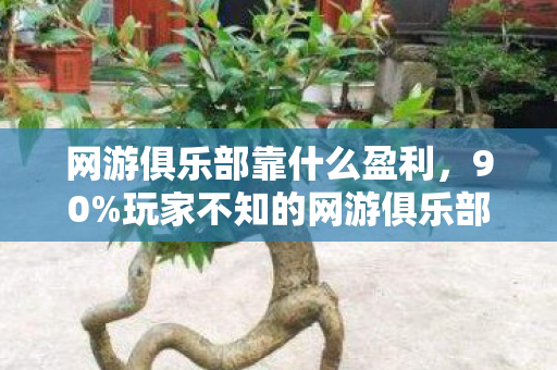 网游俱乐部靠什么盈利,90%玩家不知的网游俱乐部暗面,狂欢背后,谁在透支青春? 网游俱乐部靠什么盈利,90%玩家不知的网游俱乐部暗面,狂欢背后,谁在透支青春?