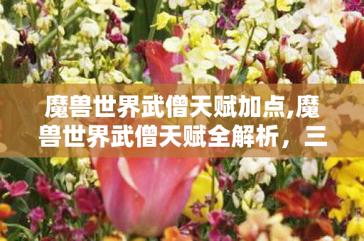 魔兽世界武僧天赋加点,魔兽世界武僧天赋全解析,三系特色与实战搭配思路 魔兽世界武僧天赋加点,魔兽世界武僧天赋全解析,三系特色与实战搭配思路