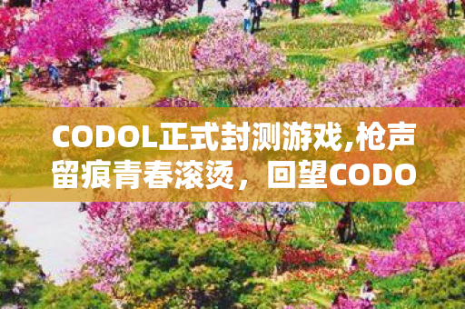 CODOL正式封测游戏,枪声留痕青春滚烫，回望CODOL公测那年的全民FPS狂欢