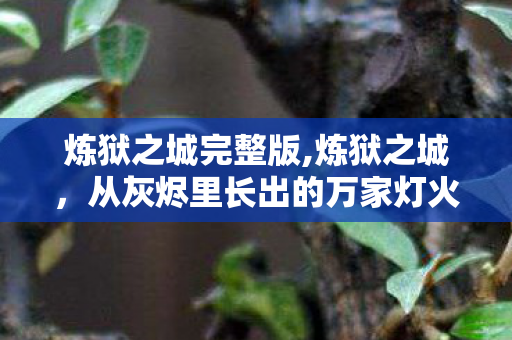 炼狱之城完整版,炼狱之城，从灰烬里长出的万家灯火