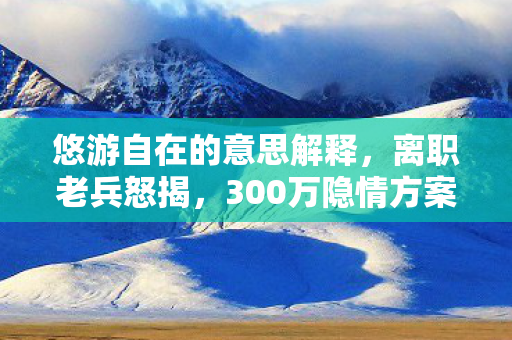 悠游自在的意思解释，离职老兵怒揭，300万隐情方案被毙，真相让人吓一跳！