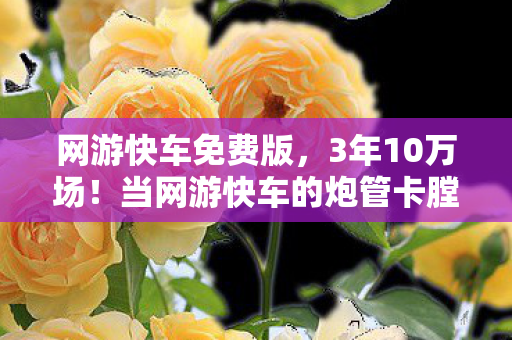 网游快车免费版，3年10万场！当网游快车的炮管卡膛时，谁在坦克世界听见心碎的轰鸣？