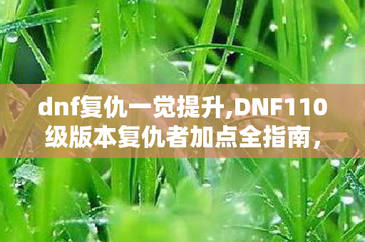 dnf复仇一觉提升,DNF110级版本复仇者加点全指南，适配多场景输出拉满