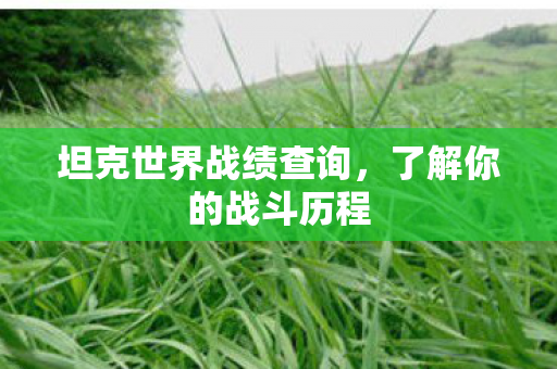 坦克世界战绩查询图片