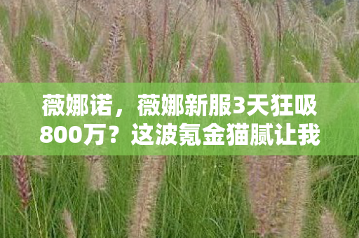 薇娜诺,薇娜新服3天狂吸800万?这波氪金猫腻让我彻底上头又下头! 薇娜诺,薇娜新服3天狂吸800万?这波氪金猫腻让我彻底上头又下头!