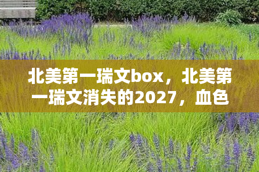 北美第一瑞文box，北美第一瑞文消失的2027，血色符文暗藏的死亡预告与永不熄灭的诅咒
