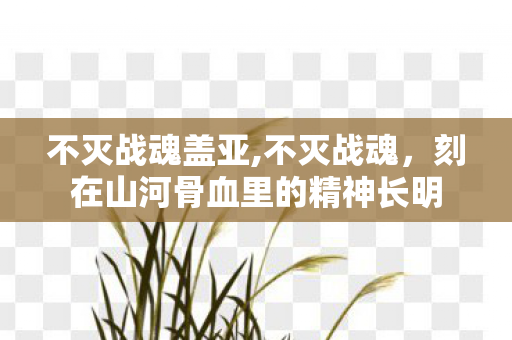 不灭战魂盖亚,不灭战魂，刻在山河骨血里的精神长明