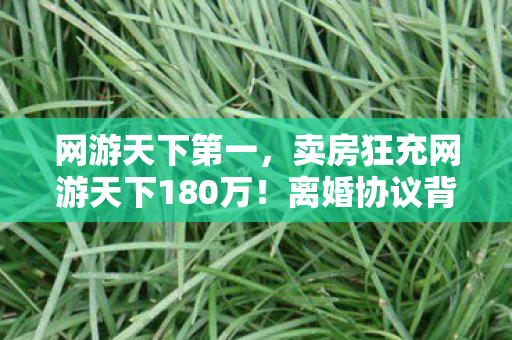网游天下第一,卖房狂充网游天下180万!离婚协议背后,我悔得肠子都青了! 网游天下第一,卖房狂充网游天下180万!离婚协议背后,我悔得肠子都青了!