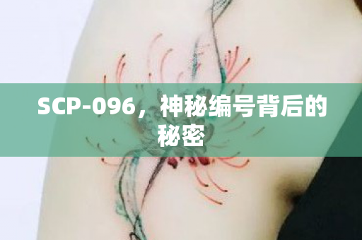 神秘编号背后的秘密图片