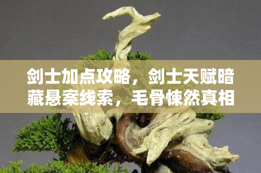剑士加点攻略,剑士天赋暗藏悬案线索,毛骨悚然真相等你揭开! 剑士加点攻略,剑士天赋暗藏悬案线索,毛骨悚然真相等你揭开!