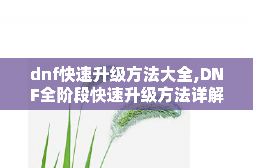 dnf快速升级方法大全,DNF全阶段快速升级方法详解,新手老玩家都适用的高效升级攻略 dnf快速升级方法大全,DNF全阶段快速升级方法详解,新手老玩家都适用的高效升级攻略