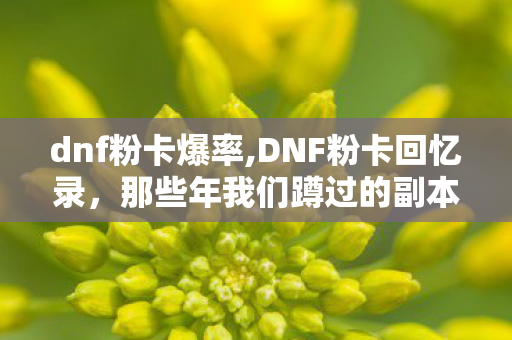 dnf粉卡爆率,DNF粉卡回忆录，那些年我们蹲过的副本与暴富梦