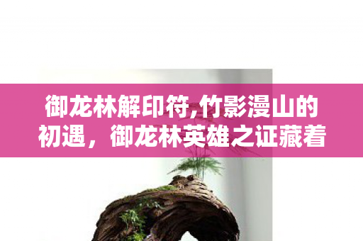 御龙林解印符,竹影漫山的初遇,御龙林英雄之证藏着的江湖初心 御龙林解印符,竹影漫山的初遇,御龙林英雄之证藏着的江湖初心