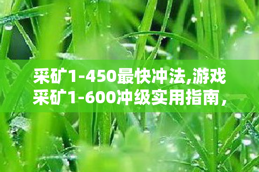 采矿1-450最快冲法,游戏采矿1-600冲级实用指南,高效省心的资源采集进阶路线 采矿1-450最快冲法,游戏采矿1-600冲级实用指南,高效省心的资源采集进阶路线