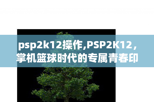 psp2k12操作,PSP2K12,掌机篮球时代的专属青春印记 psp2k12操作,PSP2K12,掌机篮球时代的专属青春印记