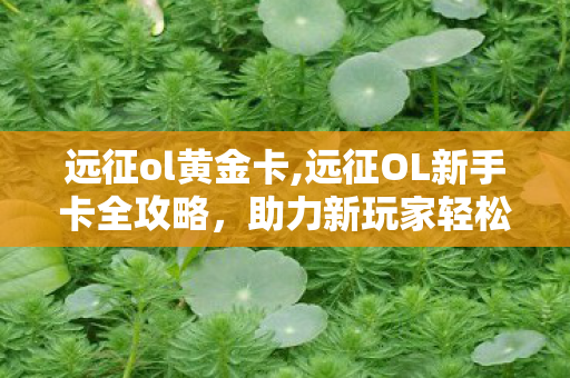 远征ol黄金卡,远征OL新手卡全攻略，助力新玩家轻松踏上热血征途