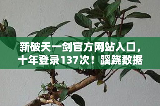 新破天一剑官方网站入口,十年登录137次!蹊跷数据背后,后背发凉的逃亡真相 新破天一剑官方网站入口,十年登录137次!蹊跷数据背后,后背发凉的逃亡真相