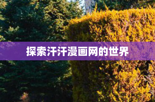 探索汗汗漫画网的世界图片