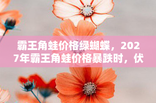霸王角蛙价格绿蝴蝶,2027年霸王角蛙价格暴跌时,伏笔里藏着谁说的别走,鼻子一酸 霸王角蛙价格绿蝴蝶,2027年霸王角蛙价格暴跌时,伏笔里藏着谁说的别走,鼻子一酸