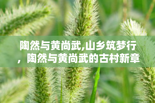 陶然与黄尚武,山乡筑梦行,陶然与黄尚武的古村新章 陶然与黄尚武,山乡筑梦行,陶然与黄尚武的古村新章