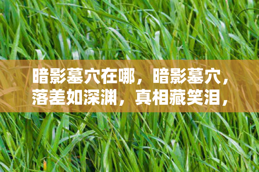暗影墓穴在哪,暗影墓穴,落差如深渊,真相藏笑泪,笑着笑着就哭了 暗影墓穴在哪,暗影墓穴,落差如深渊,真相藏笑泪,笑着笑着就哭了