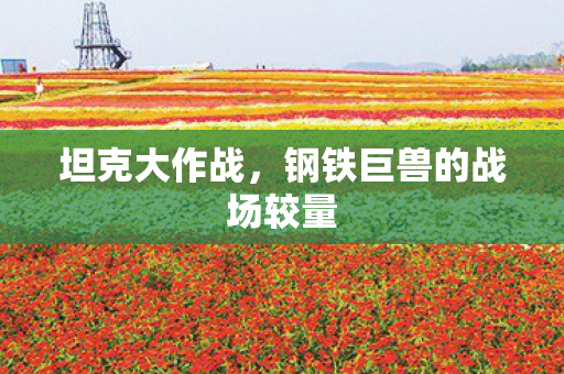 钢铁巨兽的战场较量图片