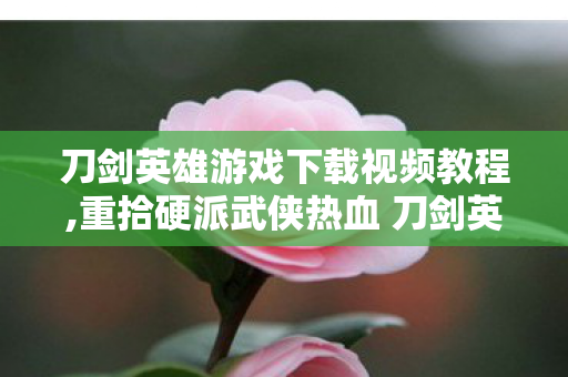 刀剑英雄游戏下载视频教程,重拾硬派武侠热血 刀剑英雄正版客户端获取全指引