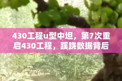 430工程u型中坦,第7次重启430工程,蹊跷数据背后发凉,我们究竟在和谁对抗? 430工程u型中坦,第7次重启430工程,蹊跷数据背后发凉,我们究竟在和谁对抗?